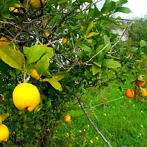 Bed & Breakfast Archimede Vacanze, Syracuse